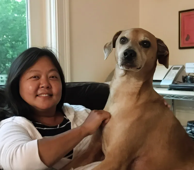 COMPUTERS 101: New column aims to make tech less intimidating