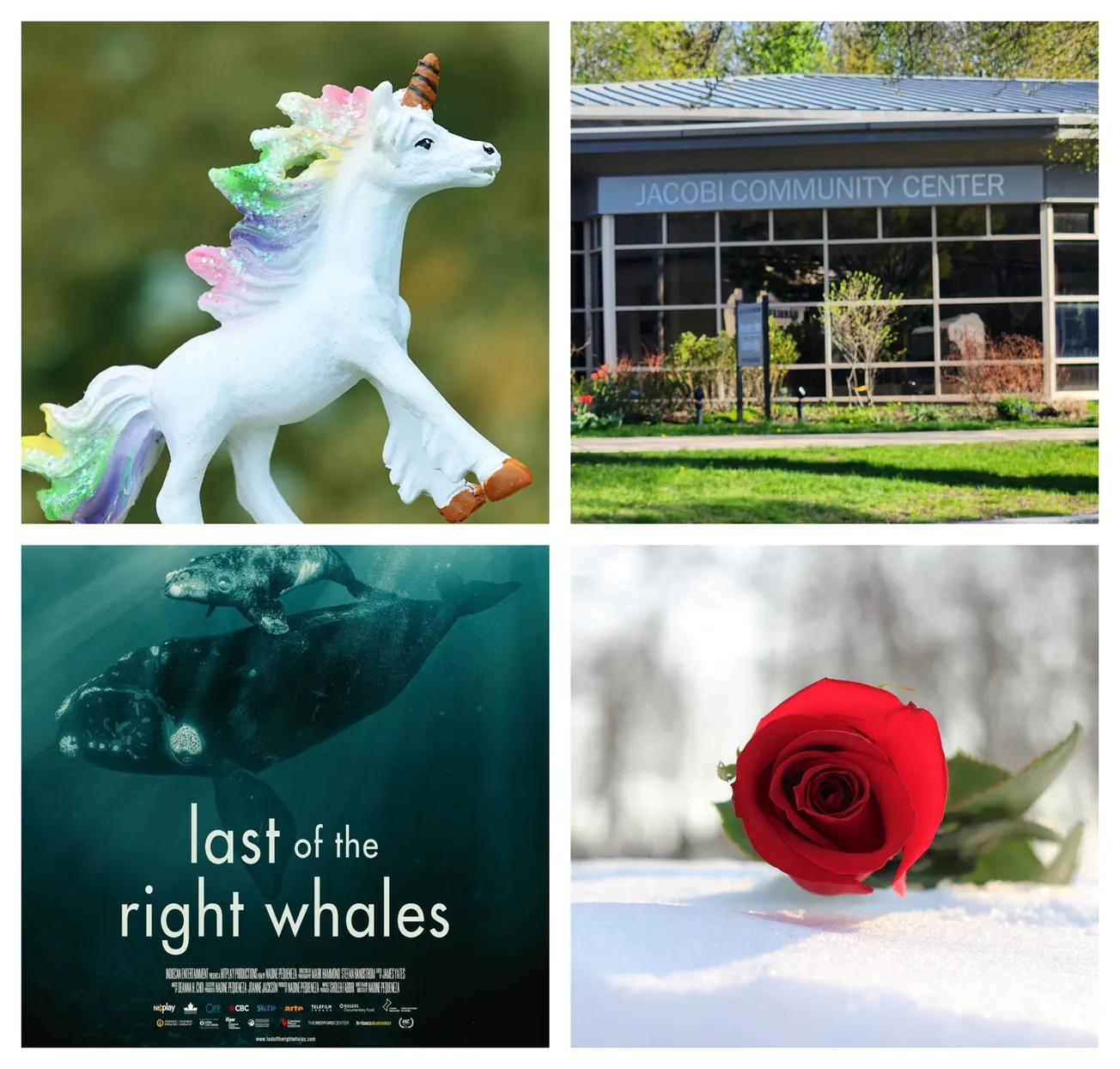 Abbot Public Library programs: Nov. 17-21